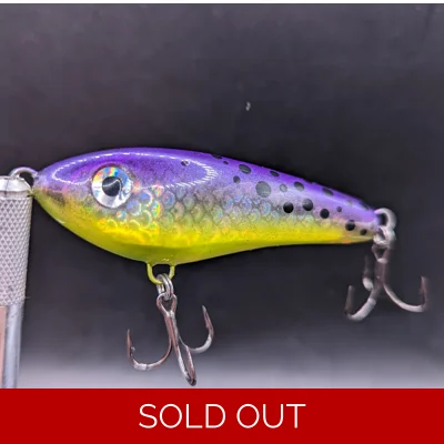 Mardi Gras Silver scale Jr.